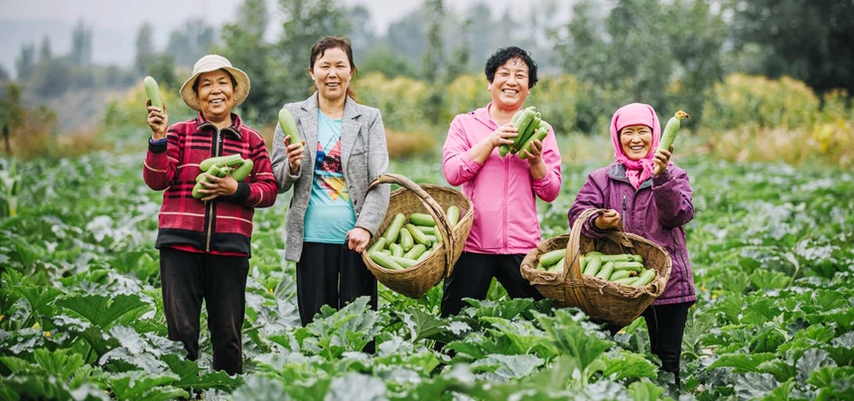 Sắp diễn ra Hội nghị Phụ nữ 2026 - Ảnh 1.