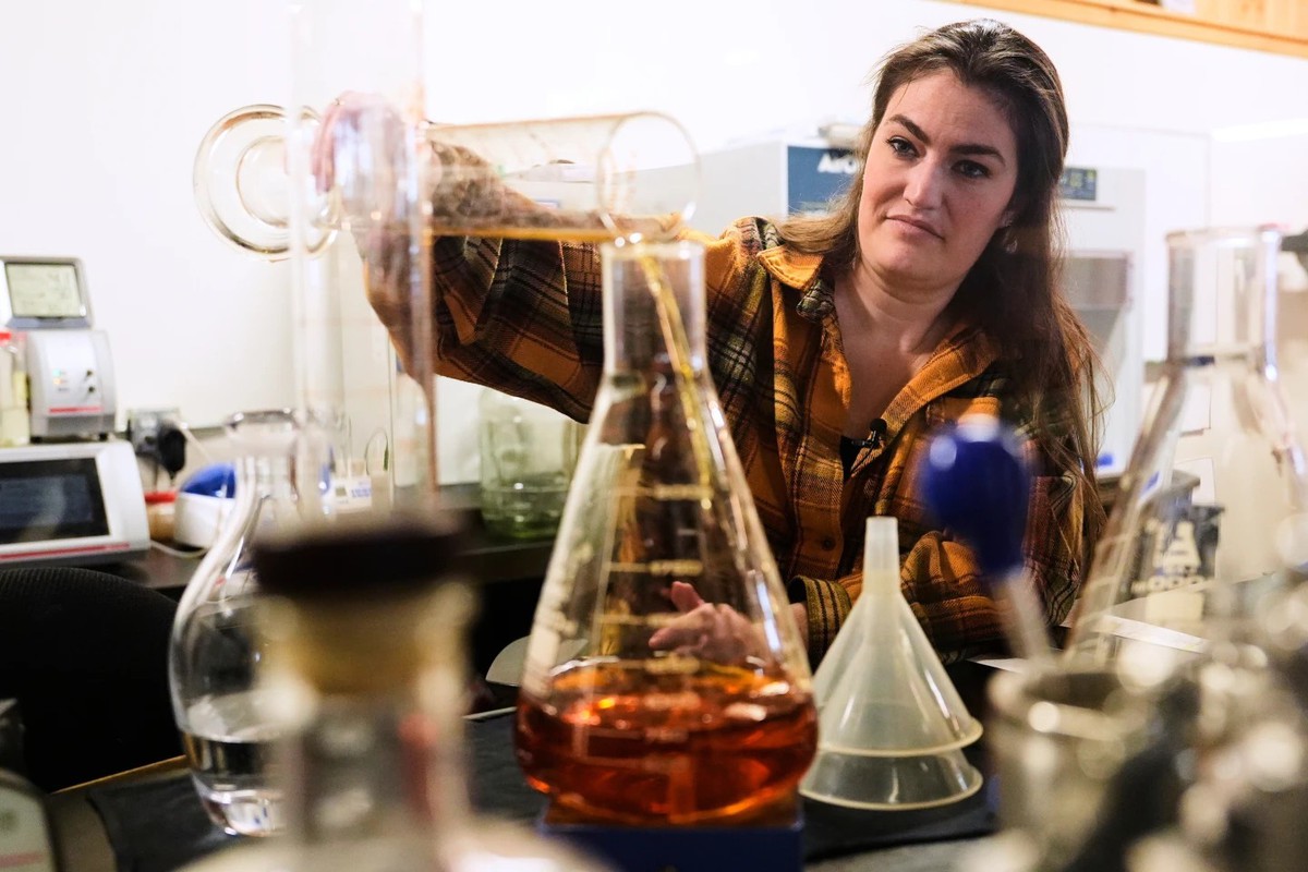 Meghan Ireland, chuyên gia pha chế chính tại nhà máy chưng cất whisky WhistlePig, rót một mẫu vào cốc thủy tinh trong phòng thí nghiệm (Ảnh AP/Robert F. Bukaty)