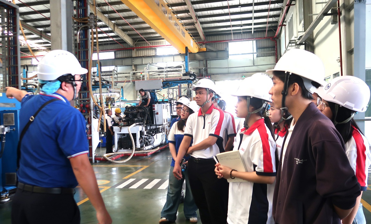 Bồi dưỡng kiến thức bảo về môi trường từ hoạt động thực tiễn - Ảnh 4.