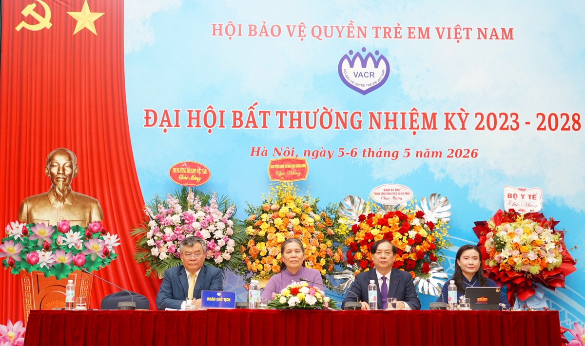 Suy tôn Chủ tịch danh dự Hội Bảo vệ quyền trẻ em Việt Nam- Ảnh 1.