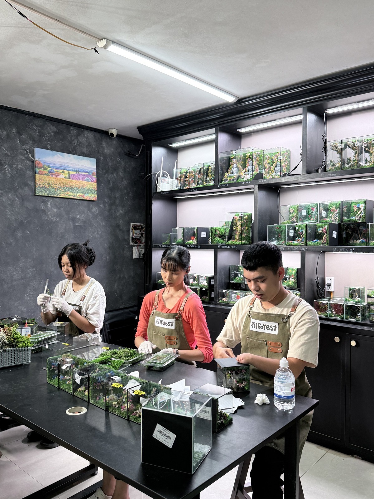 Lilforest - Hành trình dệt nên giá trị từ những điều không trọn vẹn- Ảnh 1.