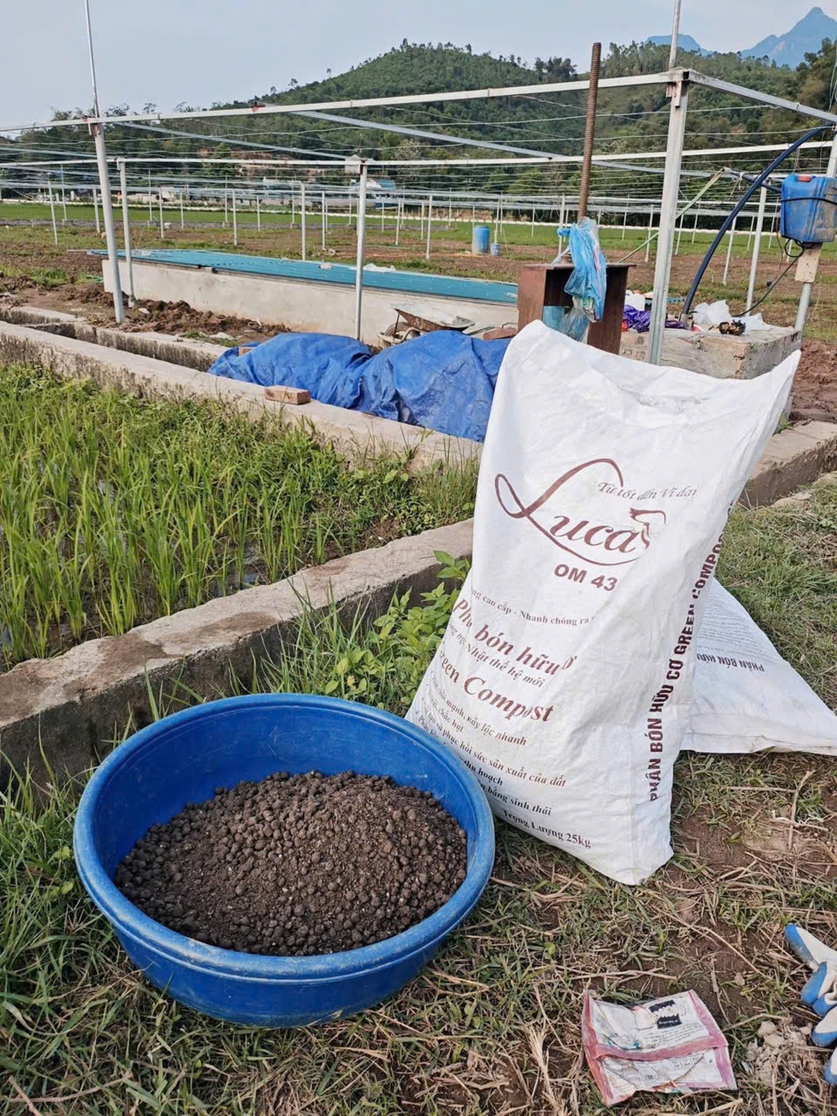 Hành trình chạm vào tĩnh lặng của Quỳnh- Ảnh 5.