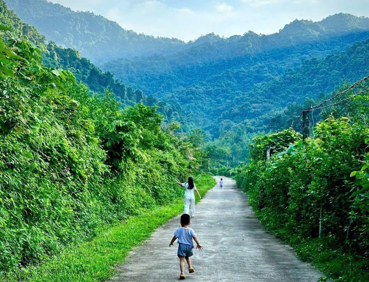 Hành trình chạm vào tĩnh lặng của Quỳnh- Ảnh 1.