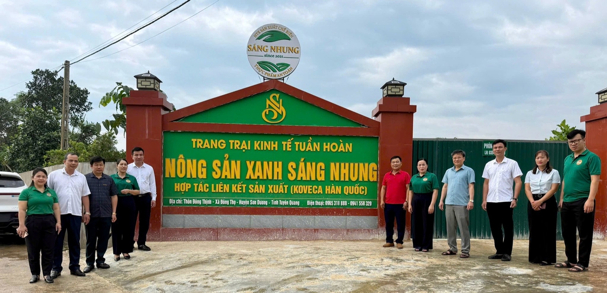 Tuyên Quang: Hội Nông dân kiểm tra công trình chào mừng Đại hội MTTQ Việt Nam XI- Ảnh 2.