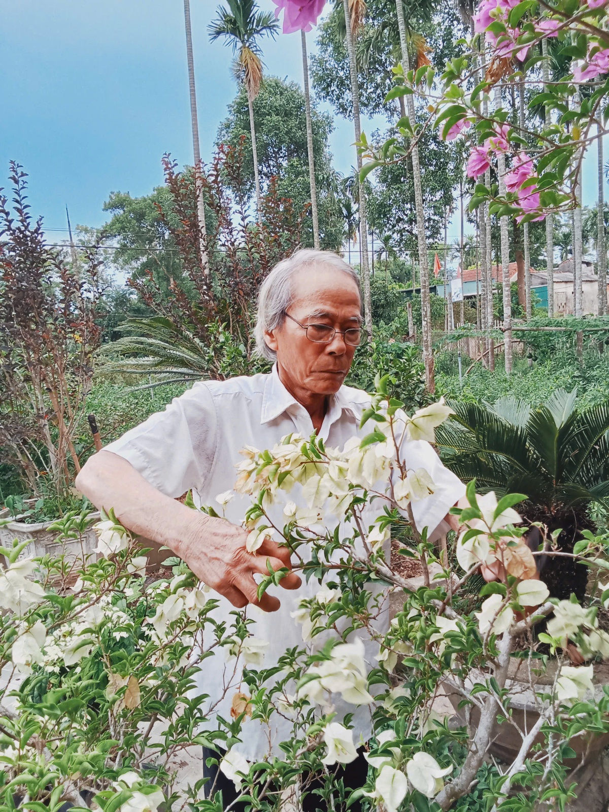 Gieo màu xanh từ quyết tâm bỏ thuốc lá- Ảnh 1. Gieo màu xanh từ quyết tâm bỏ thuốc lá- Ảnh 1.