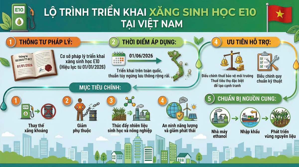 Xăng sinh học gần như phủ khắp dân số thế giới- Ảnh 1. Xăng sinh học gần như phủ khắp dân số thế giới- Ảnh 1.