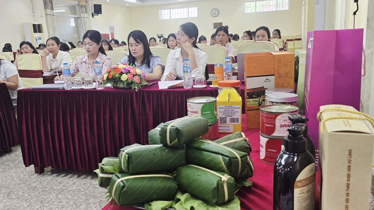 Hội LHPN Lạng Sơn tập huấn kỹ năng quản lý điều hành hợp tác xã, hộ kinh doanh- Ảnh 4. Hội LHPN Lạng Sơn tập huấn kỹ năng quản lý điều hành hợp tác xã, hộ kinh doanh- Ảnh 4.
