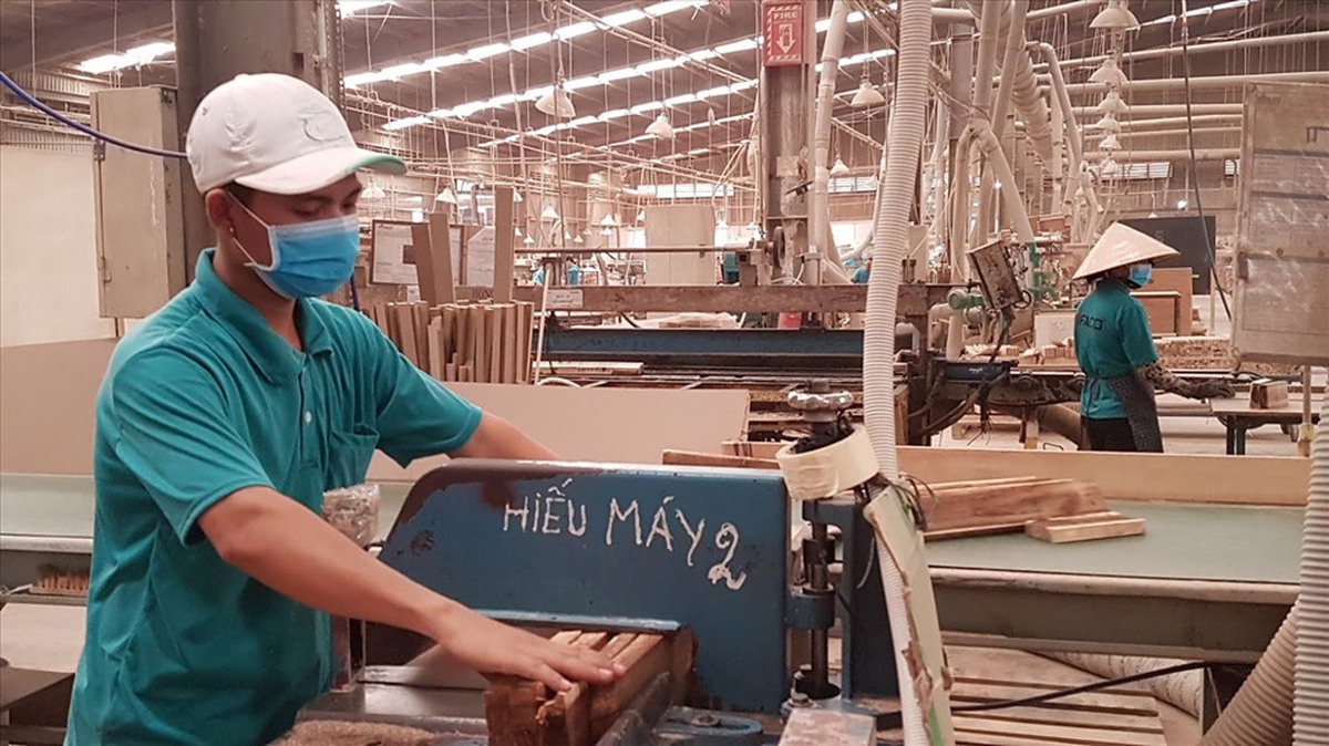 Hỗ trợ doanh nghiệp nhỏ và vừa: Chuyển tư duy từ dàn trải sang thực chất- Ảnh 3. Hỗ trợ doanh nghiệp nhỏ và vừa: Chuyển tư duy từ dàn trải sang thực chất- Ảnh 3.