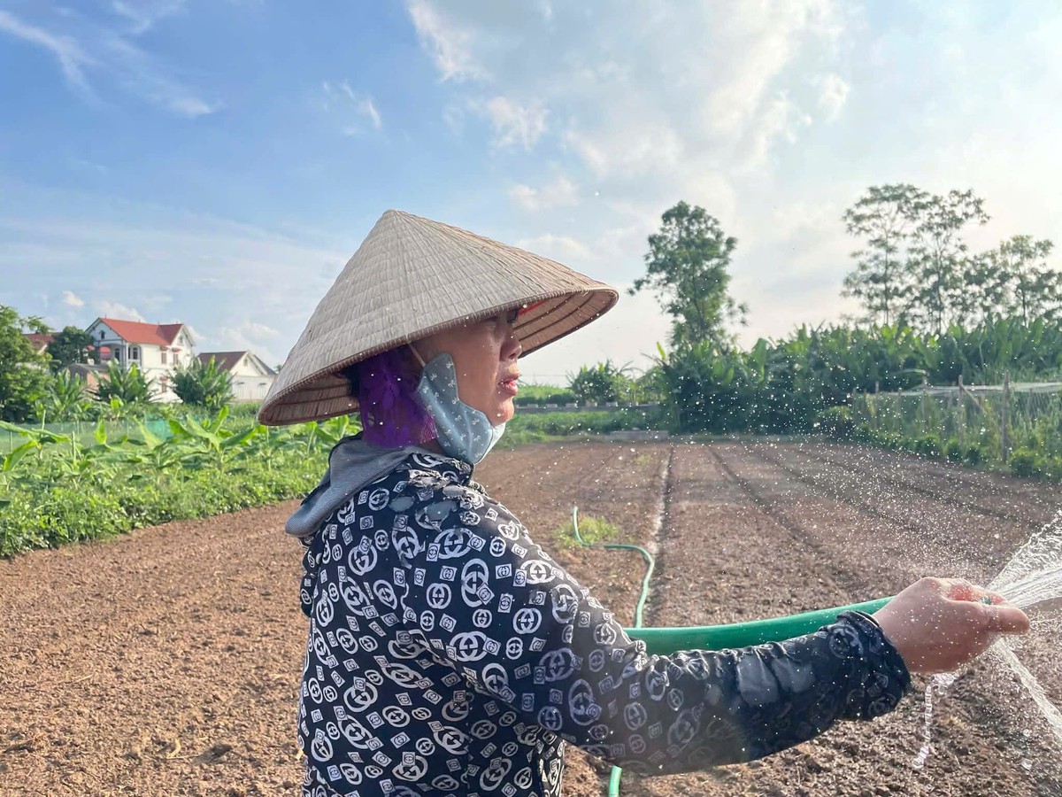 Thế hệ cuối cùng vượt sông thi tốt nghiệp THPT ở xã đảo Minh Châu- Ảnh 5. Thế hệ cuối cùng vượt sông thi tốt nghiệp THPT ở xã đảo Minh Châu- Ảnh 5.