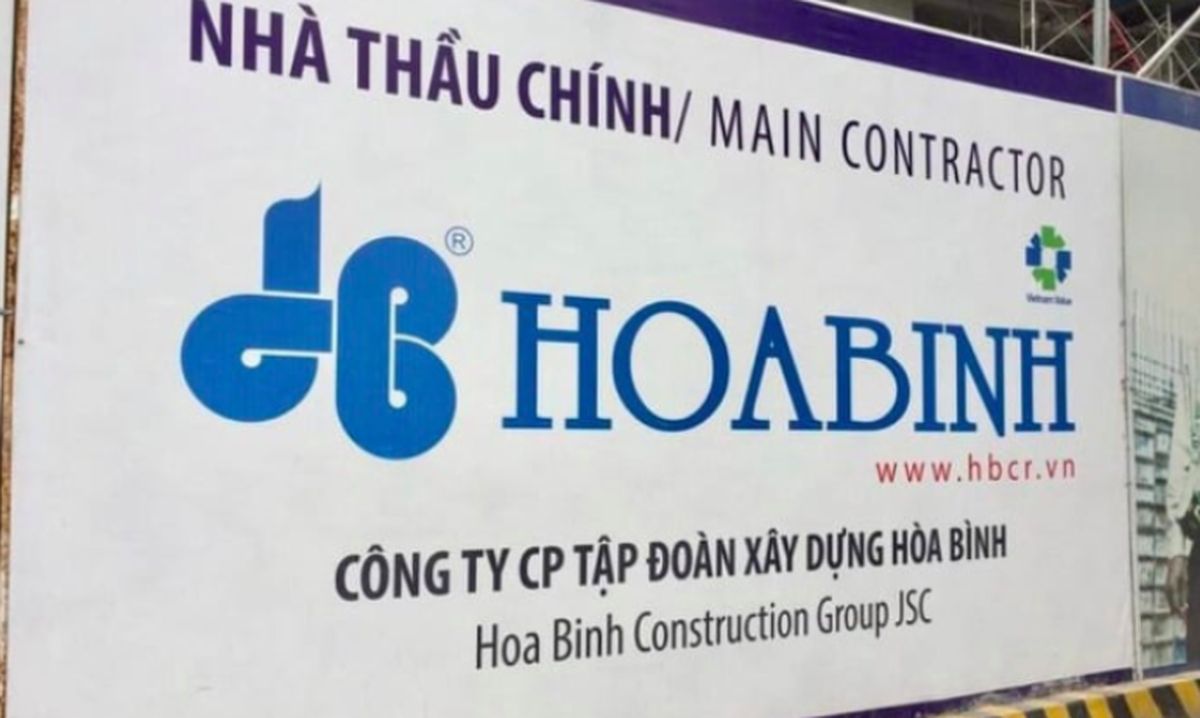 Vốn chiếm đến 87% là nợ, Hòa Bình muốn phát hành cổ phiếu hoán đổi với 96 doanh nghiệp - Ảnh 1.