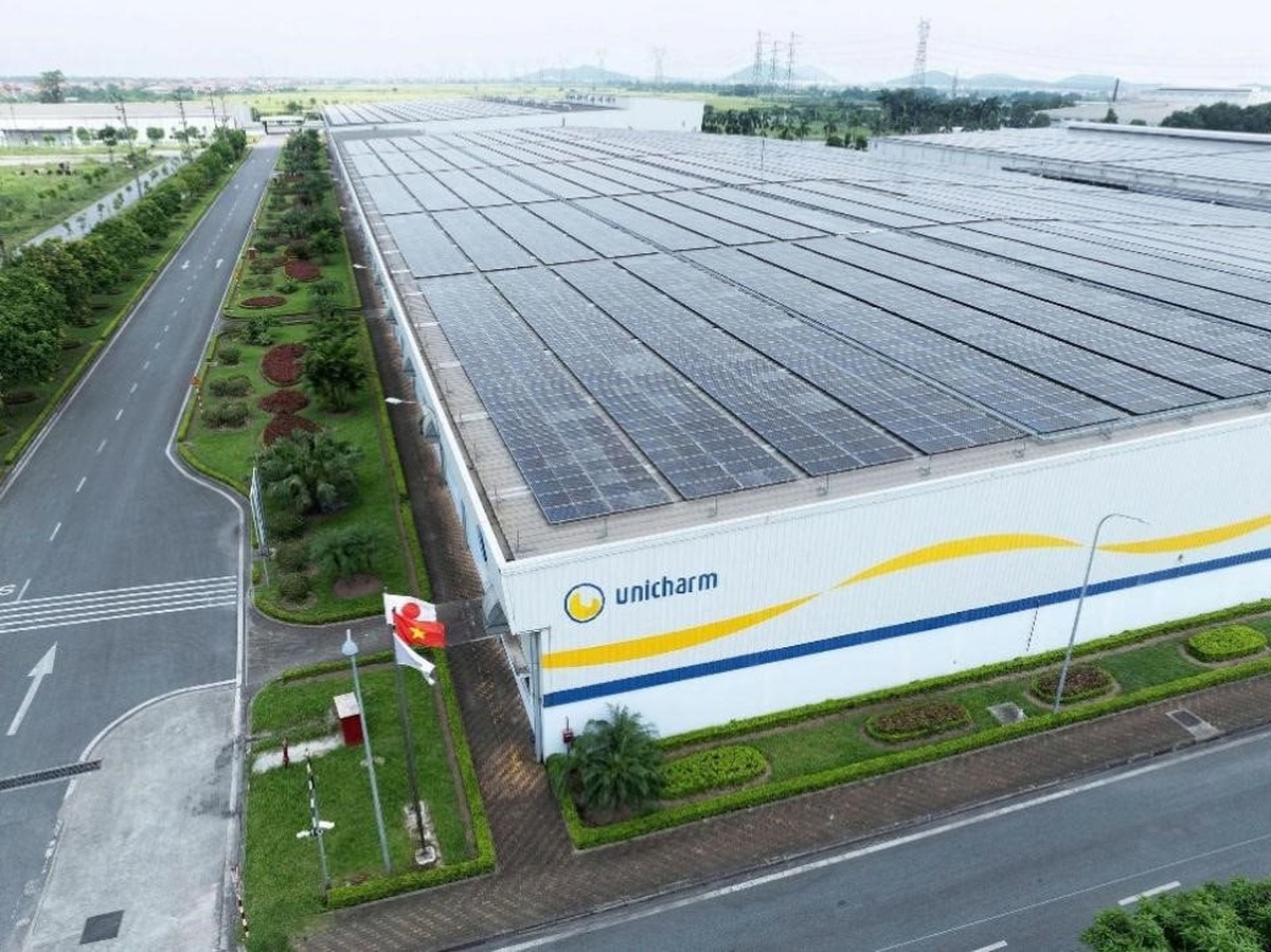 Diana Unicharm thúc đẩy chiến lược môi trường 2030 - Ảnh 4.