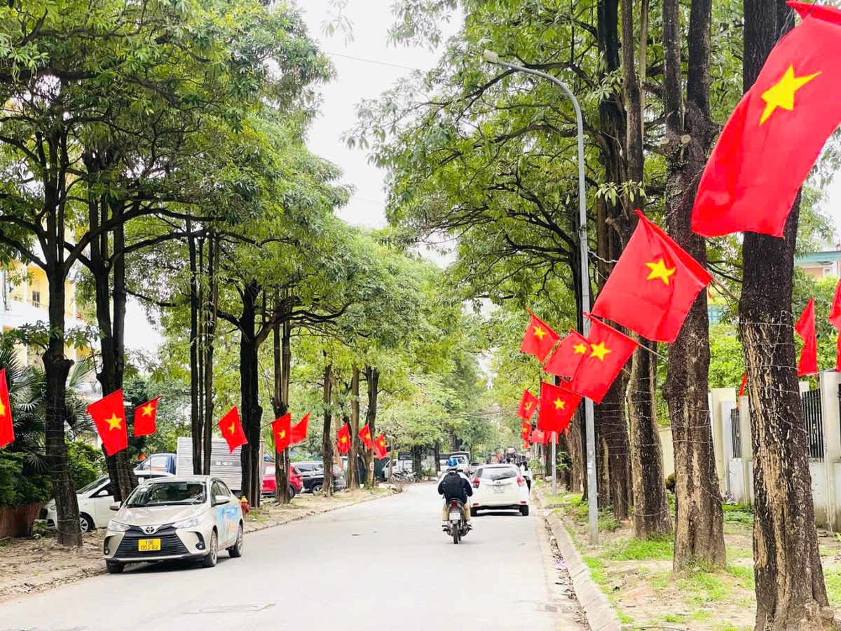 Xã Thiên Lộc nỗ lực bảo vệ môi trường, xây dựng địa phương xanh – sạch – đẹp - Ảnh 2.