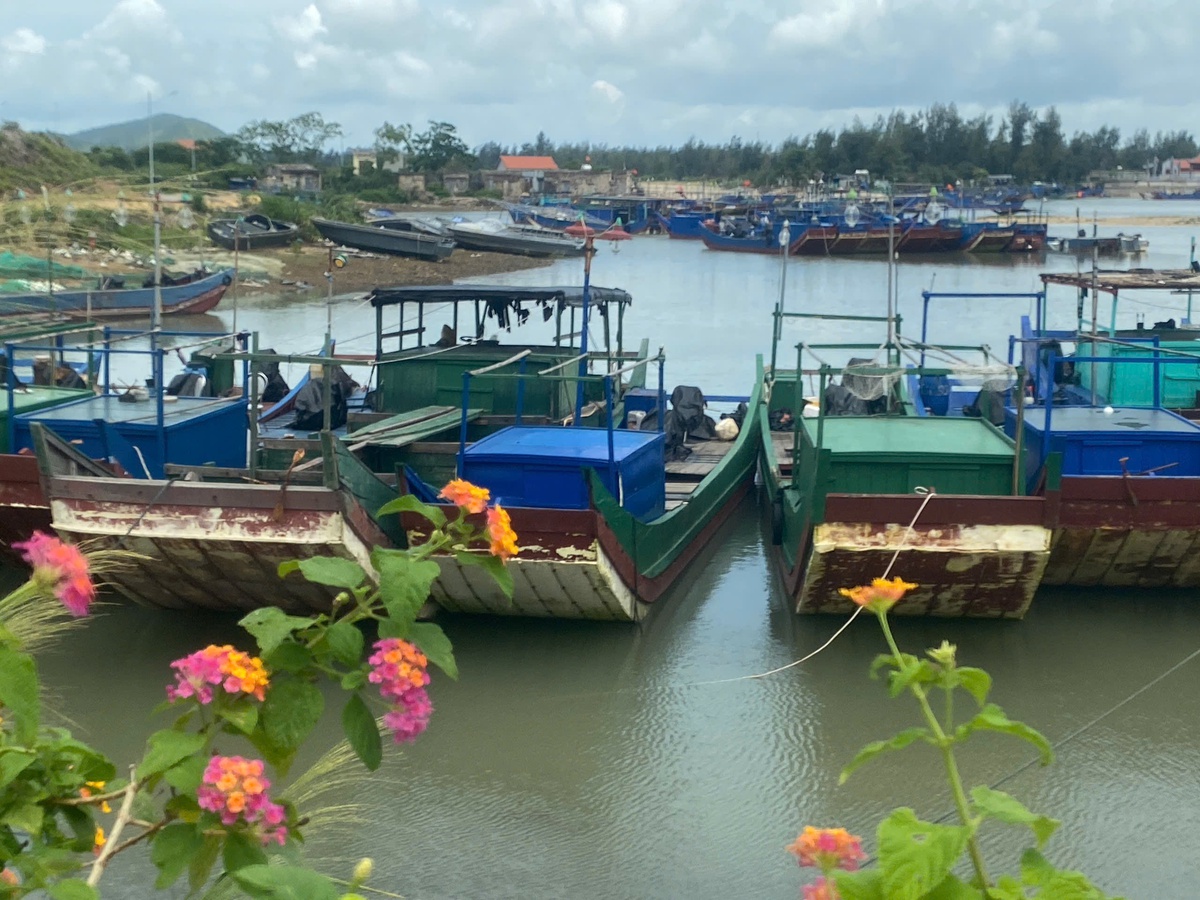 Người dân xã đảo tiền tiêu ấm lòng với “Gian hàng 0 đồng - Vì bình yên Đất Mỏ” - Ảnh 2.