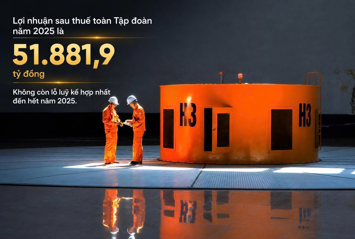 Sau khoản lãi kỷ lục của EVN: Điều nhà đầu tư quan tâm không nằm ở lợi nhuận - Ảnh 1.