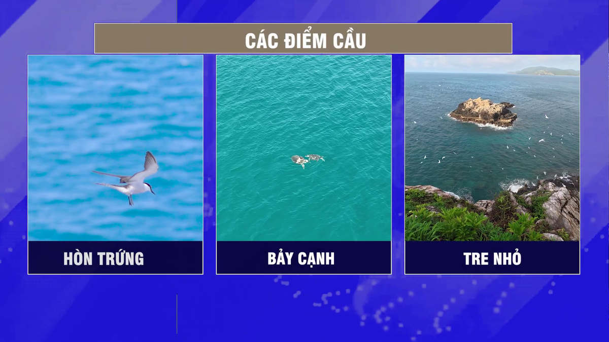 Vietnam Wild Live: Bước tiến mới kết nối con người với thiên nhiên hoang dã - Ảnh 3.