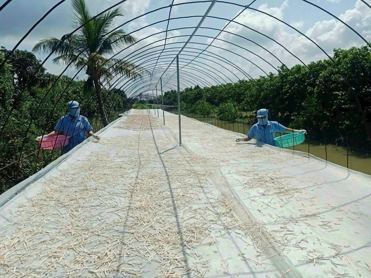 Phụ nữ Cần Thơ tạo nên những "câu chuyện OCOP" đầy cảm hứng- Ảnh 1. Phụ nữ Cần Thơ tạo nên những "câu chuyện OCOP" đầy cảm hứng- Ảnh 1.
