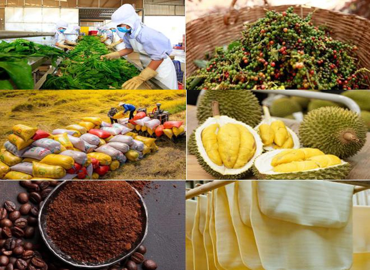 Đà tăng trưởng hiện tại mở ra khả năng xuất nhập khẩu Việt Nam vượt mốc 1.000 tỷ USD trong năm 2026- Ảnh 2. Đà tăng trưởng hiện tại mở ra khả năng xuất nhập khẩu Việt Nam vượt mốc 1.000 tỷ USD trong năm 2026- Ảnh 2.