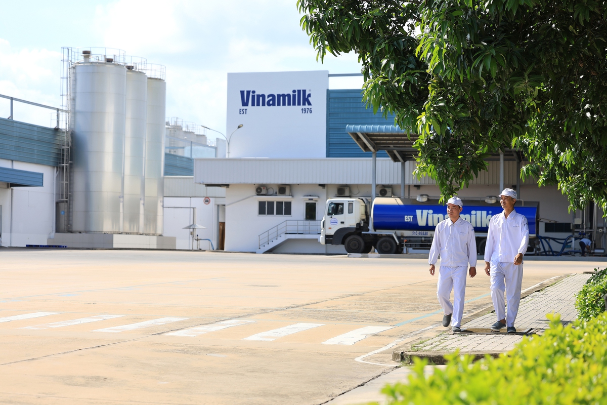 Vinamilk tiếp tục là đại diện duy nhất của ngành sữa Việt Nam trong Fortune 500 Đông Nam Á - Ảnh 1.