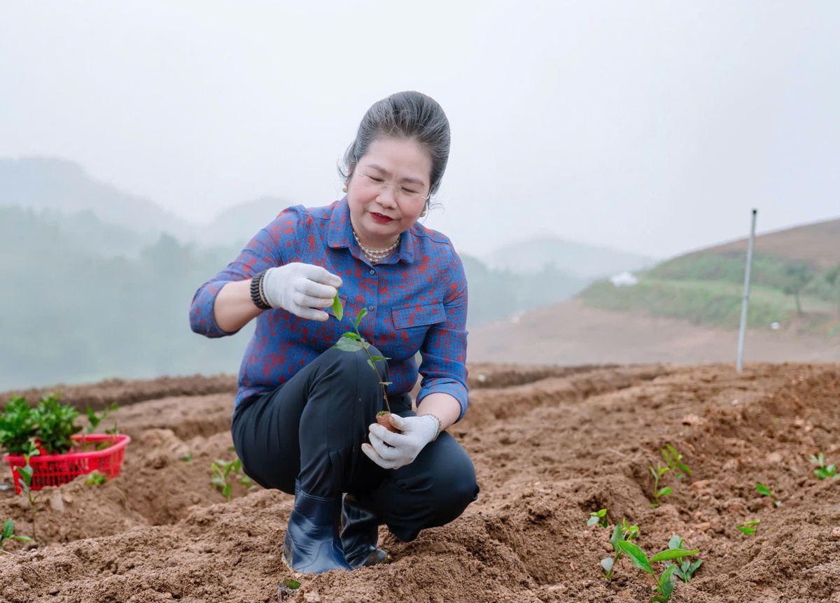 Phụ nữ cần bản lĩnh, sáng tạo để vững vàng hội nhập trong kỷ nguyên mới - Ảnh 1.