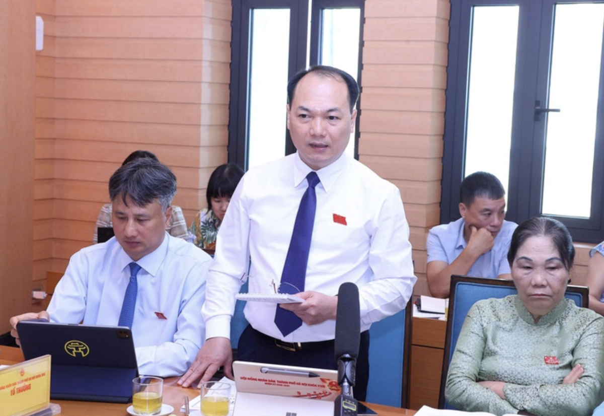 Hỗ trợ chuyển đổi xe điện phải đi trước hoặc song hành với hạn chế phương tiện- Ảnh 2.