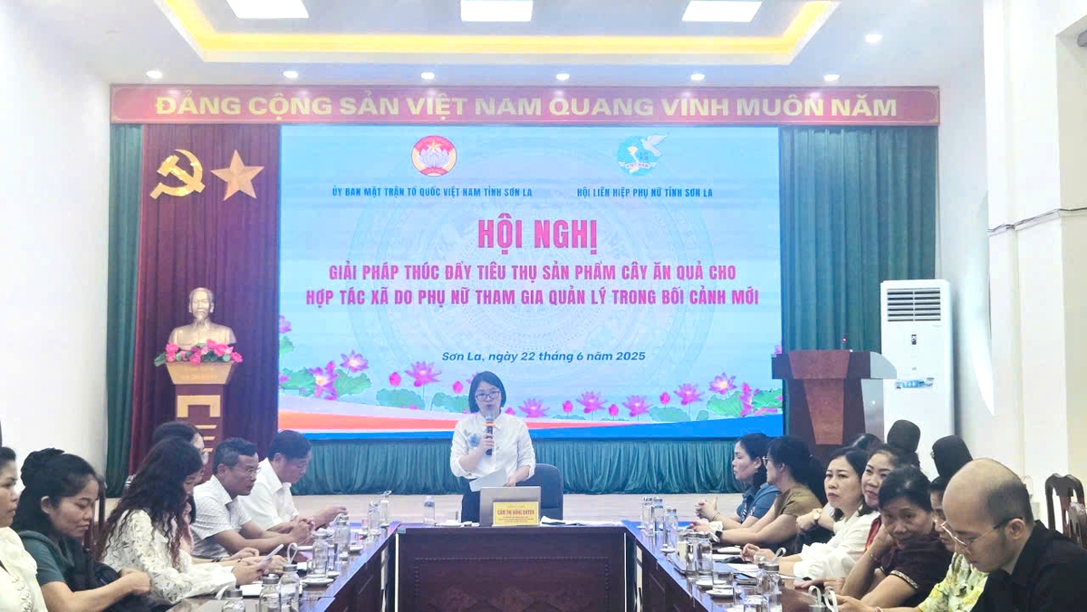 Sơn La: Tìm giải pháp bứt phá đầu ra cho nông sản từ các hợp tác xã do phụ nữ quản lý - Ảnh 1.