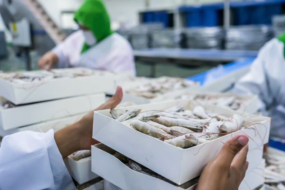 Áp dụng công nghệ chế biến, bảo quản để nâng cao giá trị nông sản - Ảnh 1.