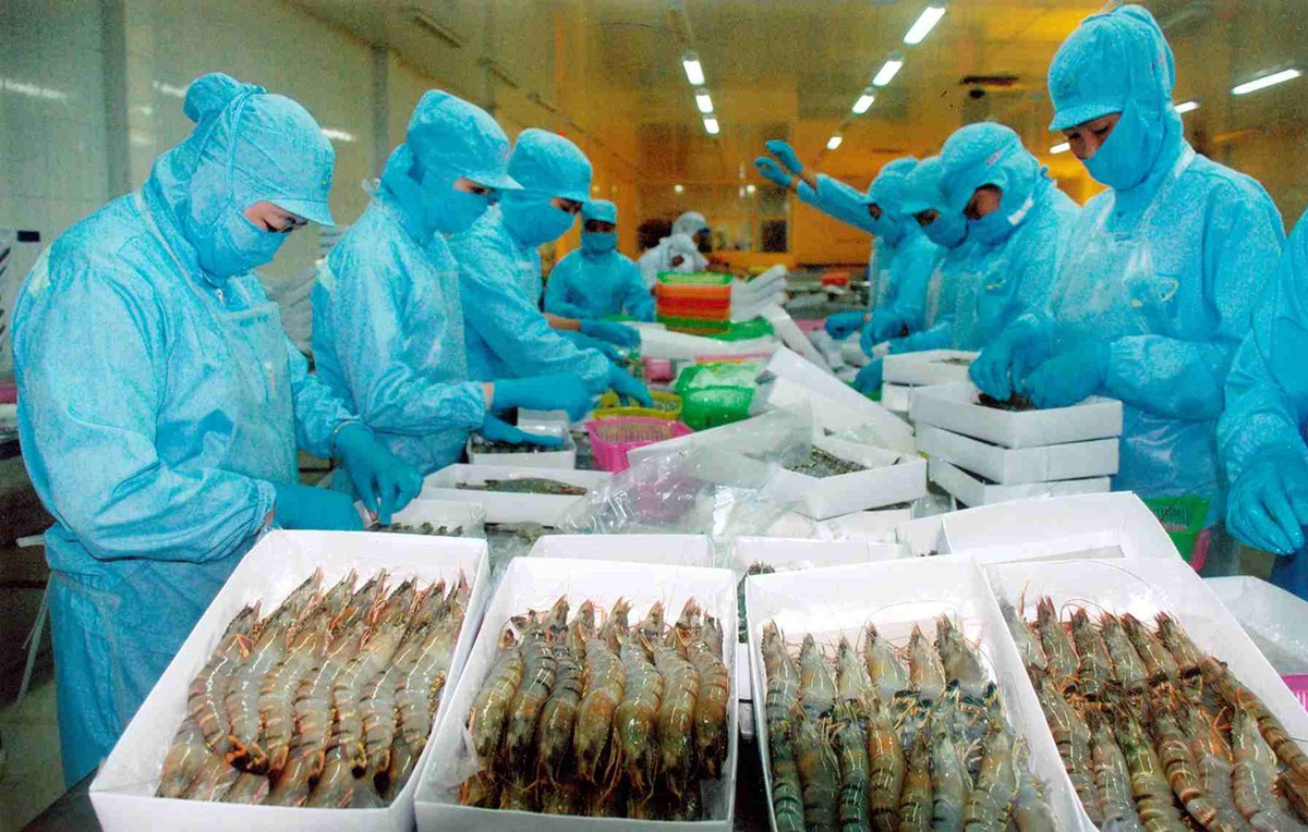 Truy xuất carbon: Thách thức mới với ngành tôm Việt Nam tại thị trường châu Âu - Ảnh 2.