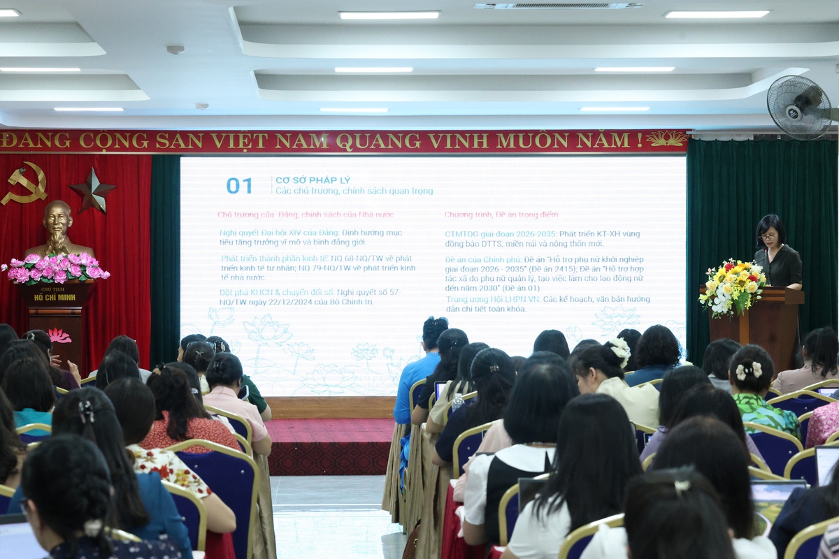 Đổi mới toàn diện chiến lược hỗ trợ phụ nữ phát triển kinh tế trong nhiệm kỳ mới - Ảnh 2.