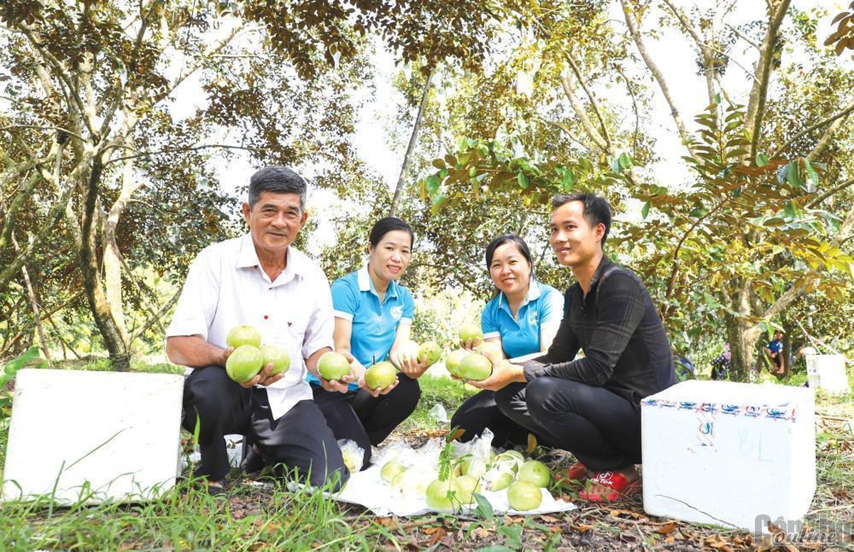 Những “nữ thuyền trưởng” hợp tác xã tiên phong chuyển đổi xanh, nâng tầm sản phẩm OCOP - Ảnh 3.