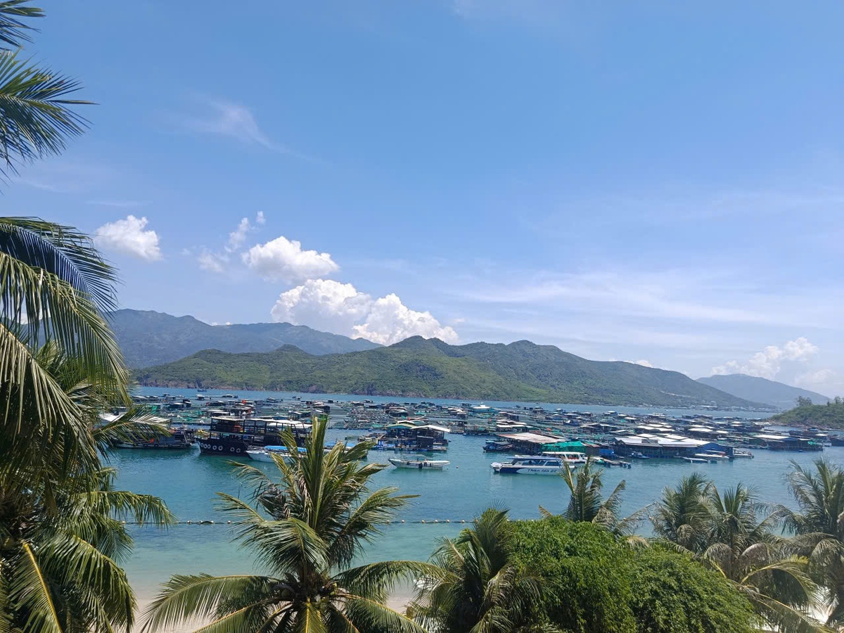 Khánh Hòa: Hồi hộp nhà bè nổi “bủa vây” vùng Vịnh - Ảnh 1.