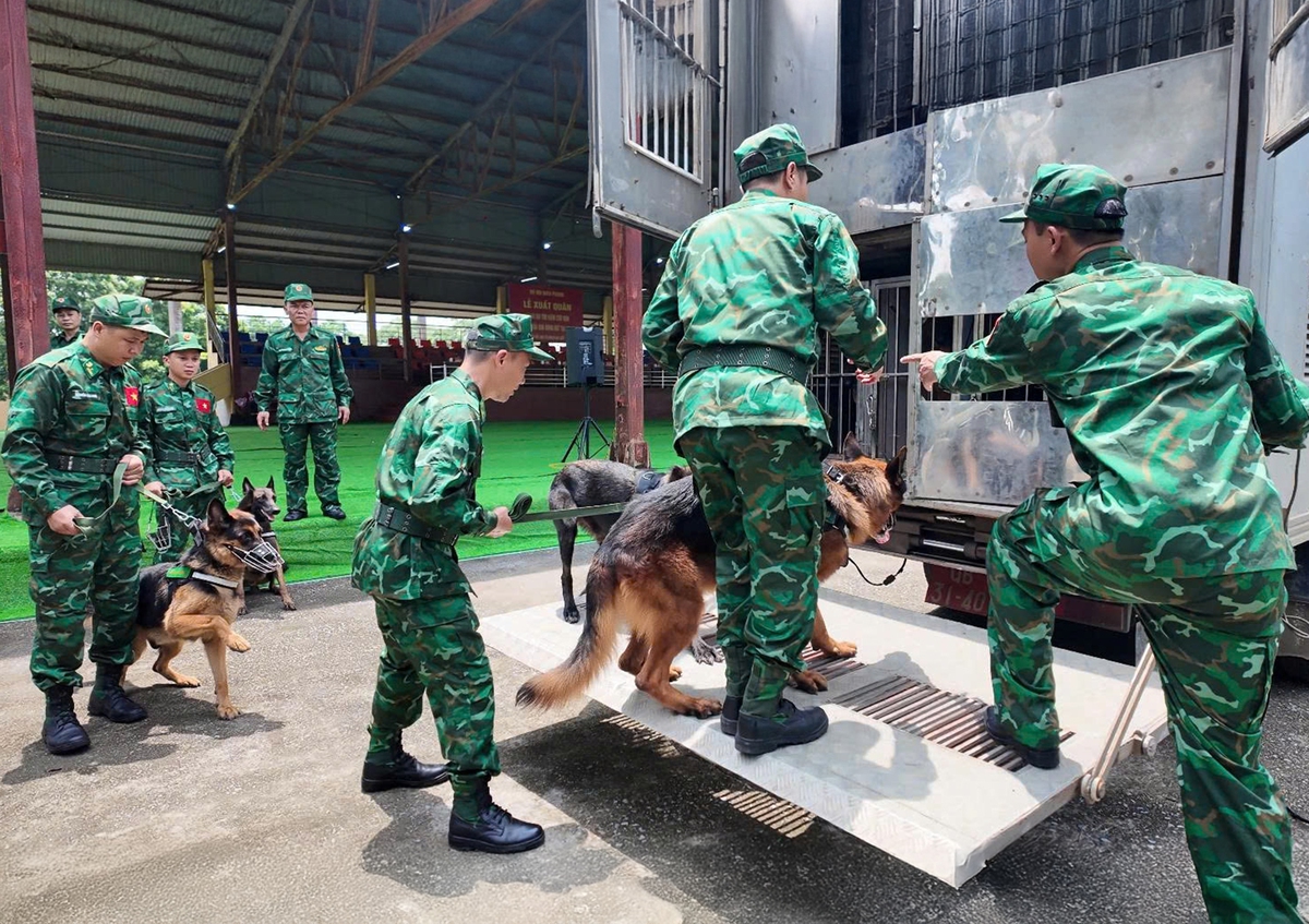 Bộ đội Biên phòng lên đường hỗ trợ Venezuela khắc phục hậu quả động đất - Ảnh 2.