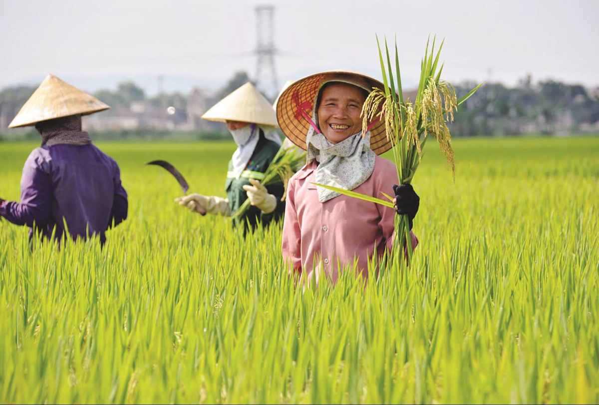 Tái cấu trúc lực lượng sản xuất trong bối cảnh già hóa dân số - Ảnh 3.