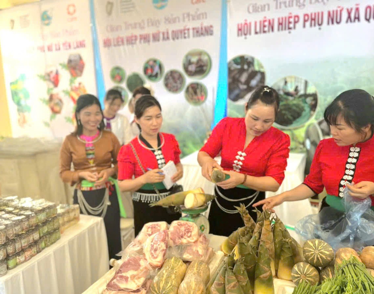 Phú Thọ phát triển kinh tế mô hình sinh kế do phụ nữ làm chủ theo hướng xanh, bền vững  - Ảnh 1.