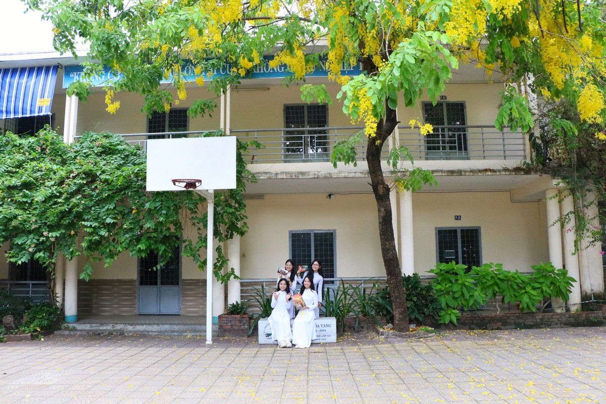 Những nữ sinh "số hóa" giai điệu dân gian Cơ Tu- Ảnh 3.