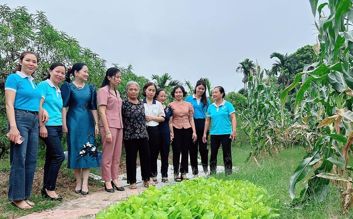 Những dấu ấn nổi bật trong công tác Hội và phong trào nông dân giai đoạn 2023-2026- Ảnh 3.
