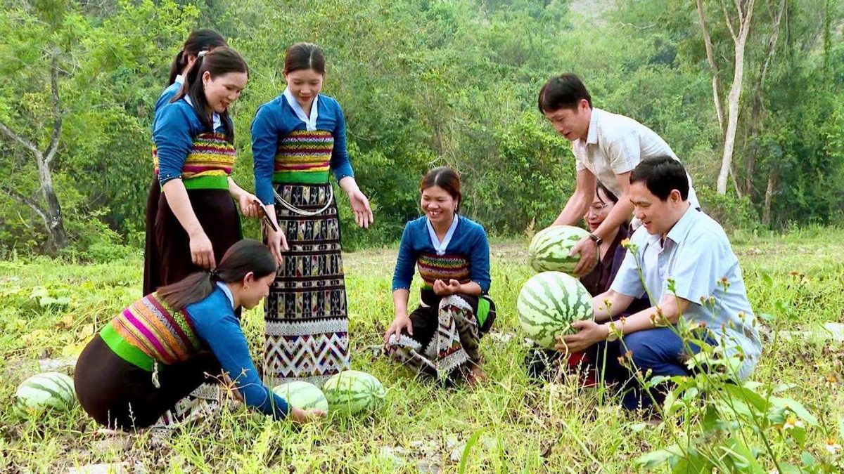 Những dấu ấn nổi bật trong công tác Hội và phong trào nông dân giai đoạn 2023-2026- Ảnh 4.