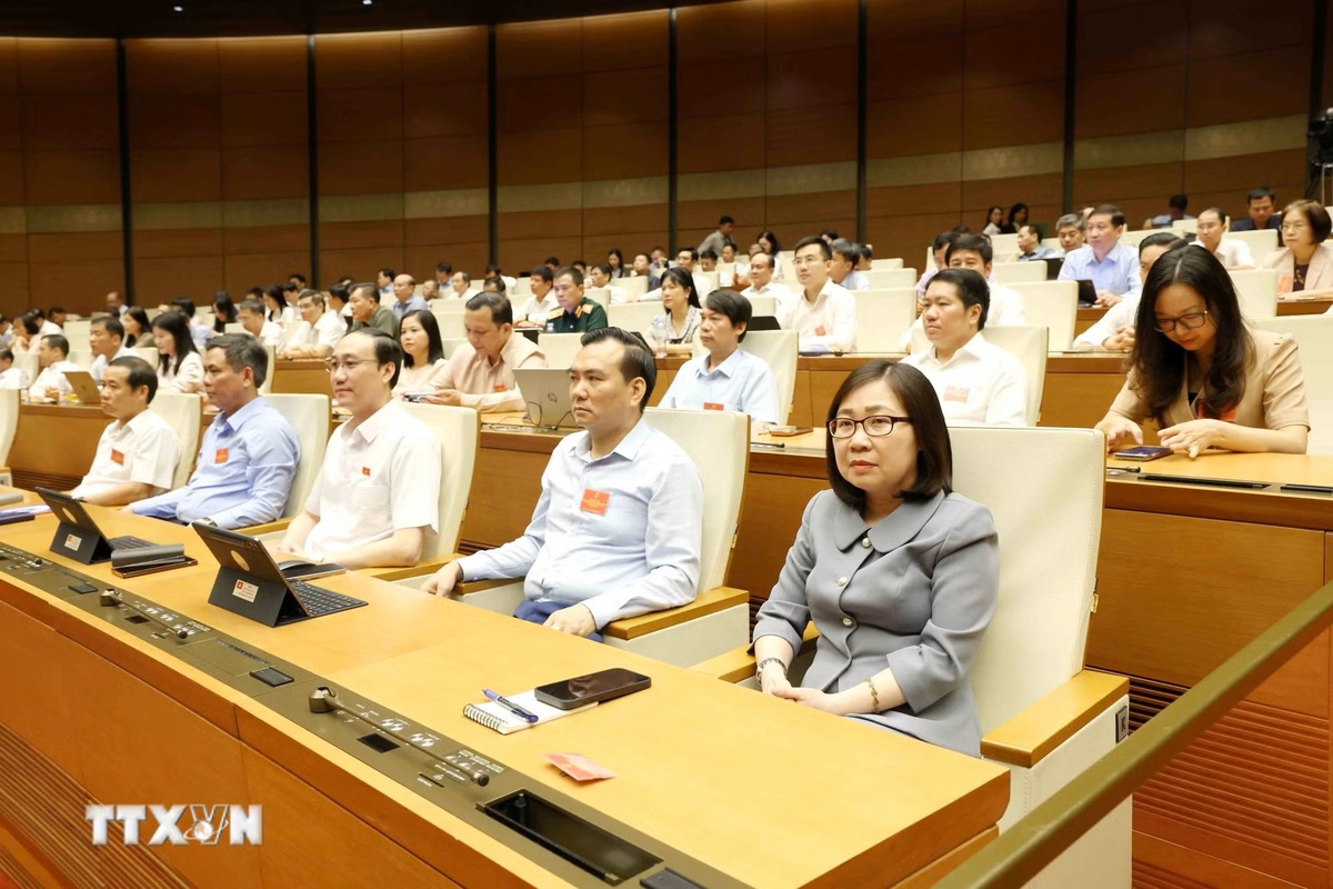 Phát biểu của Tổng Bí thư, Chủ tịch nước Tô Lâm tại Hội nghị toàn quốc nghiên cứu, học tập, quán triệt và triển khai thực hiện Nghị quyết số 10-NQ/TW - Ảnh 3.