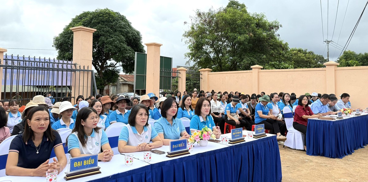 Hội LHPN tỉnh Gia Lai phát động trồng cây hưởng ứng Ngày Môi trường thế giới- Ảnh 1.