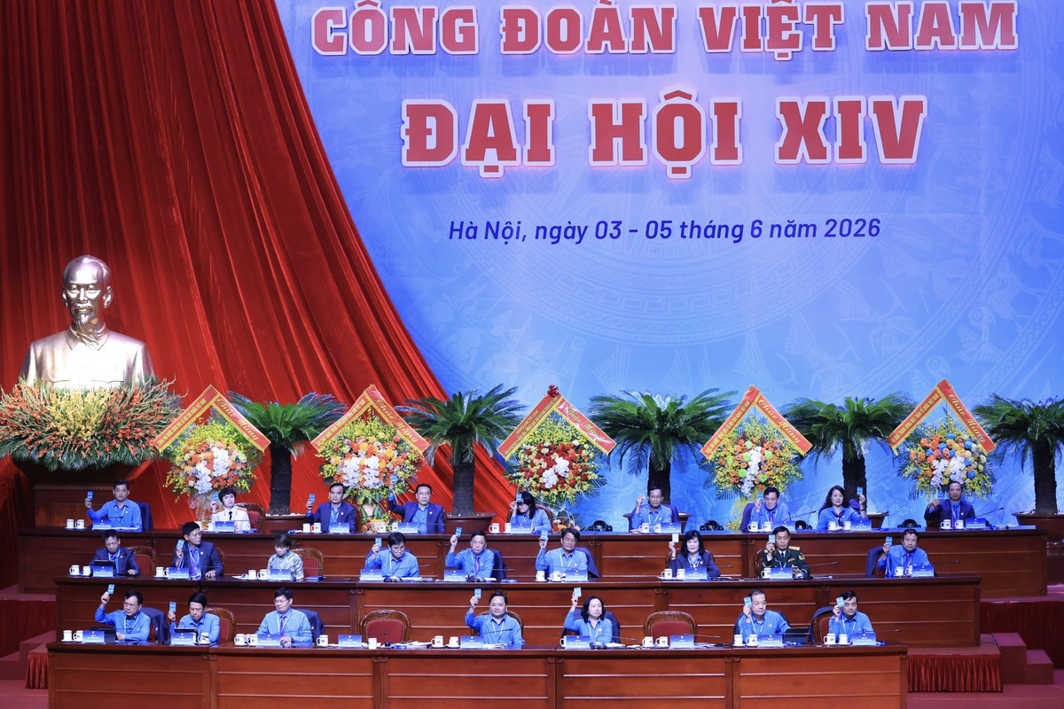 Ban Chấp hành Tổng Liên đoàn Lao động Việt Nam khóa XIV giảm 32 ủy viên so với khóa trước- Ảnh 3.