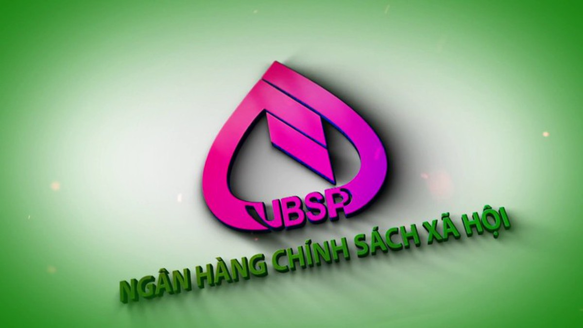Chủ tịch Hội LHPN Việt Nam Lê Thị Thủy được bổ nhiệm kiêm giữ chức Ủy viên Hội đồng quản trị Ngân hàng Chính sách xã hội- Ảnh 1.