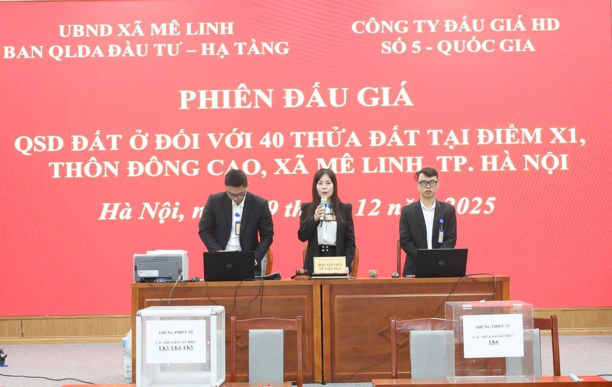 Chiêu trò "thổi giá", lừa tiền đặt cọc đấu giá đất ở Hà Nội- Ảnh 1.