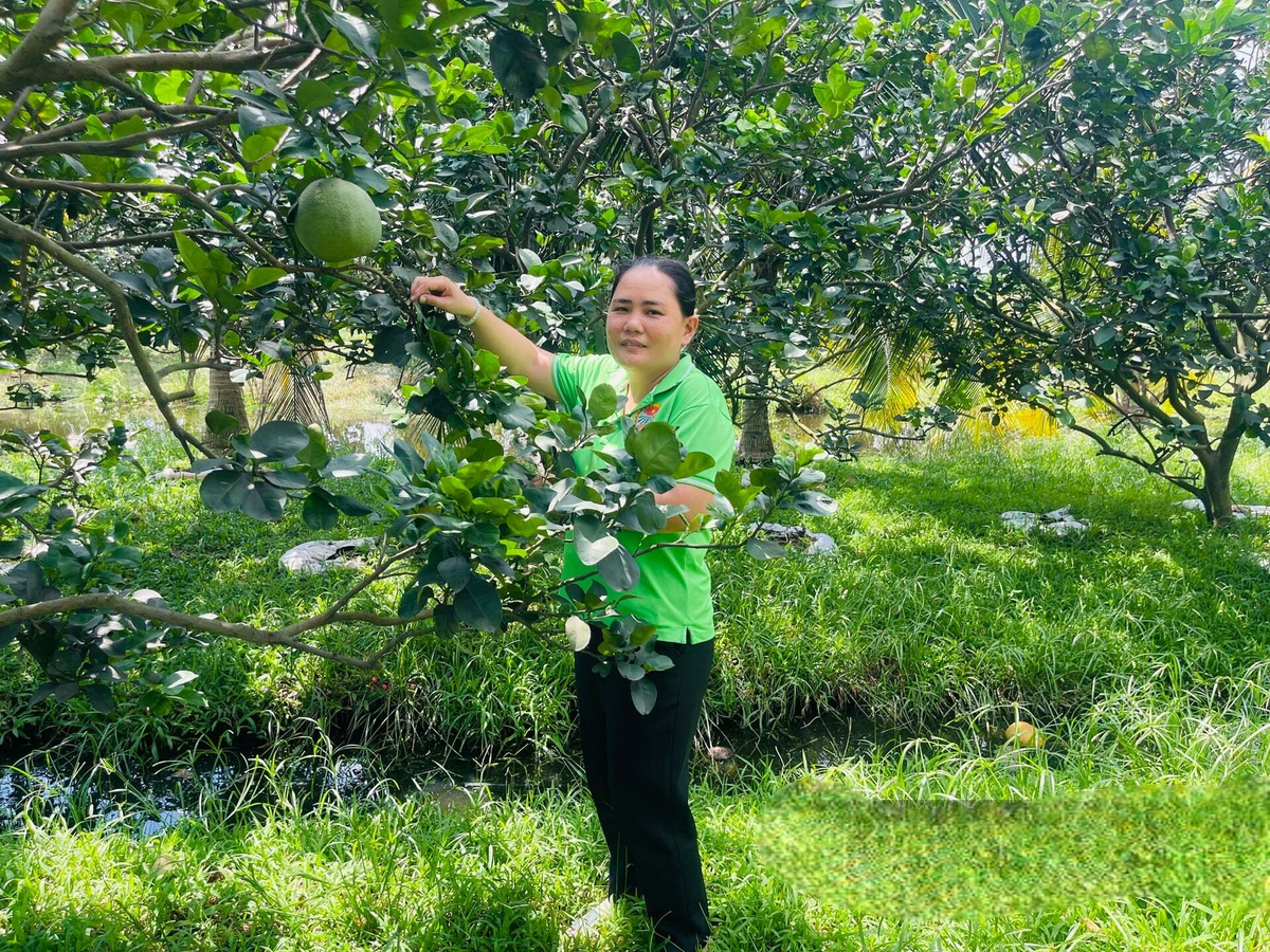 Nữ nông dân cả nước chung niềm tin, hướng tới một nhiệm kỳ đổi mới- Ảnh 3.