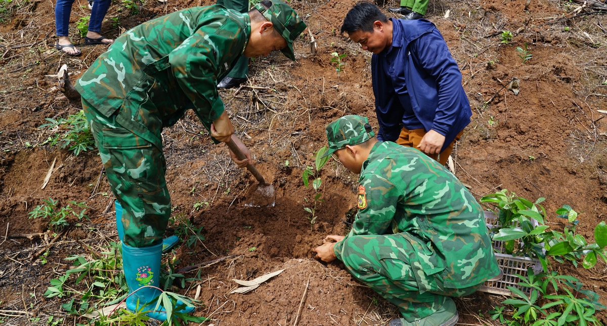 Toàn dân chung tay bảo vệ môi trường ở Nà Hỳ- Ảnh 4.