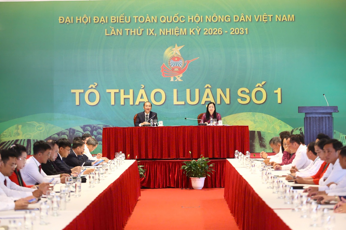 Đại hội Hội Nông dân Việt Nam lần thứ IX: Nhiều ý kiến thảo luận tâm huyết- Ảnh 1. Đại hội Hội Nông dân Việt Nam lần thứ IX: Nhiều ý kiến thảo luận tâm huyết- Ảnh 1.