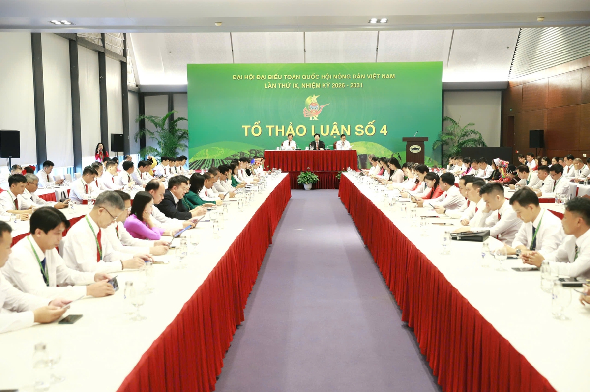 Đại hội Hội Nông dân Việt Nam lần thứ IX: Nhiều ý kiến thảo luận tâm huyết- Ảnh 4. Đại hội Hội Nông dân Việt Nam lần thứ IX: Nhiều ý kiến thảo luận tâm huyết- Ảnh 4.