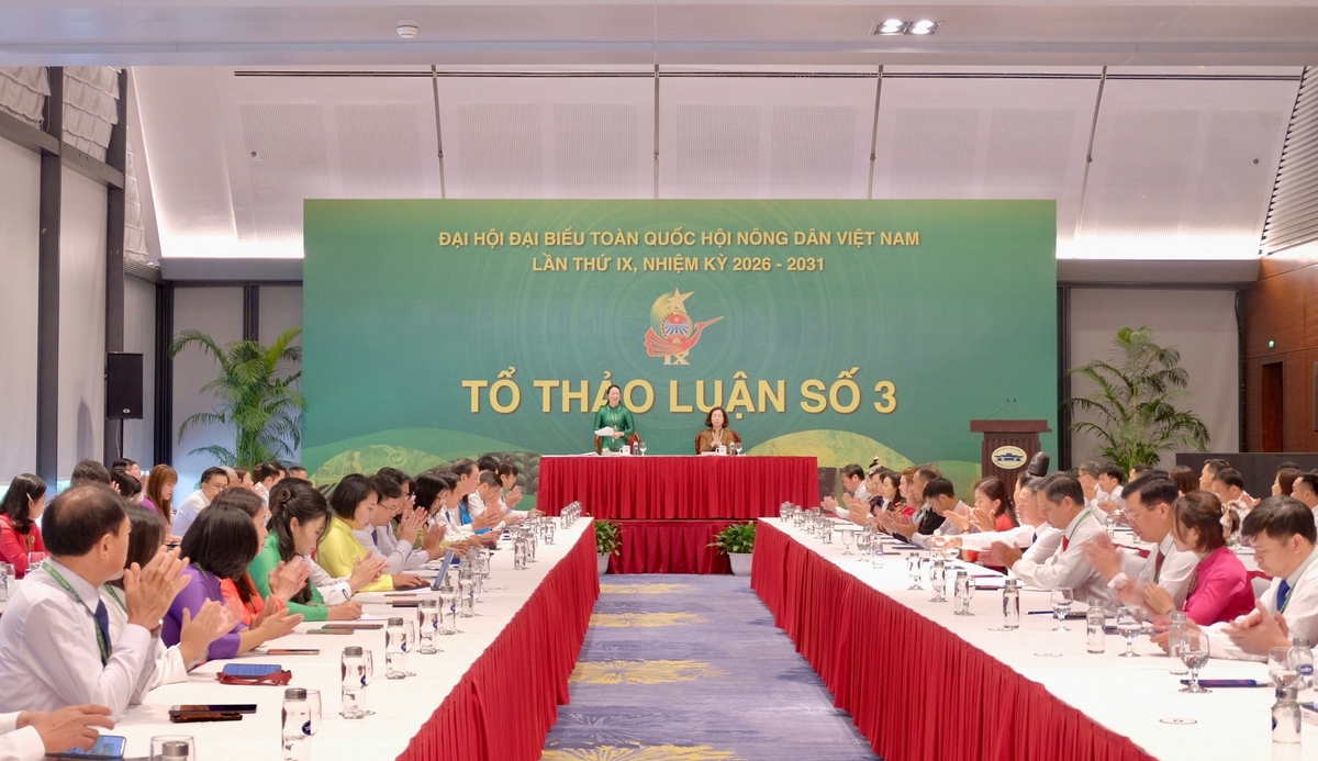 Đại hội Hội Nông dân Việt Nam lần thứ IX: Nhiều ý kiến thảo luận tâm huyết- Ảnh 3. Đại hội Hội Nông dân Việt Nam lần thứ IX: Nhiều ý kiến thảo luận tâm huyết- Ảnh 3.