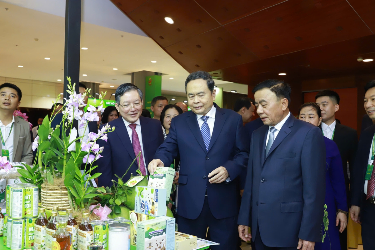Khai mạc trọng thể Đại hội đại biểu toàn quốc Hội Nông dân Việt Nam lần thứ IX- Ảnh 8.