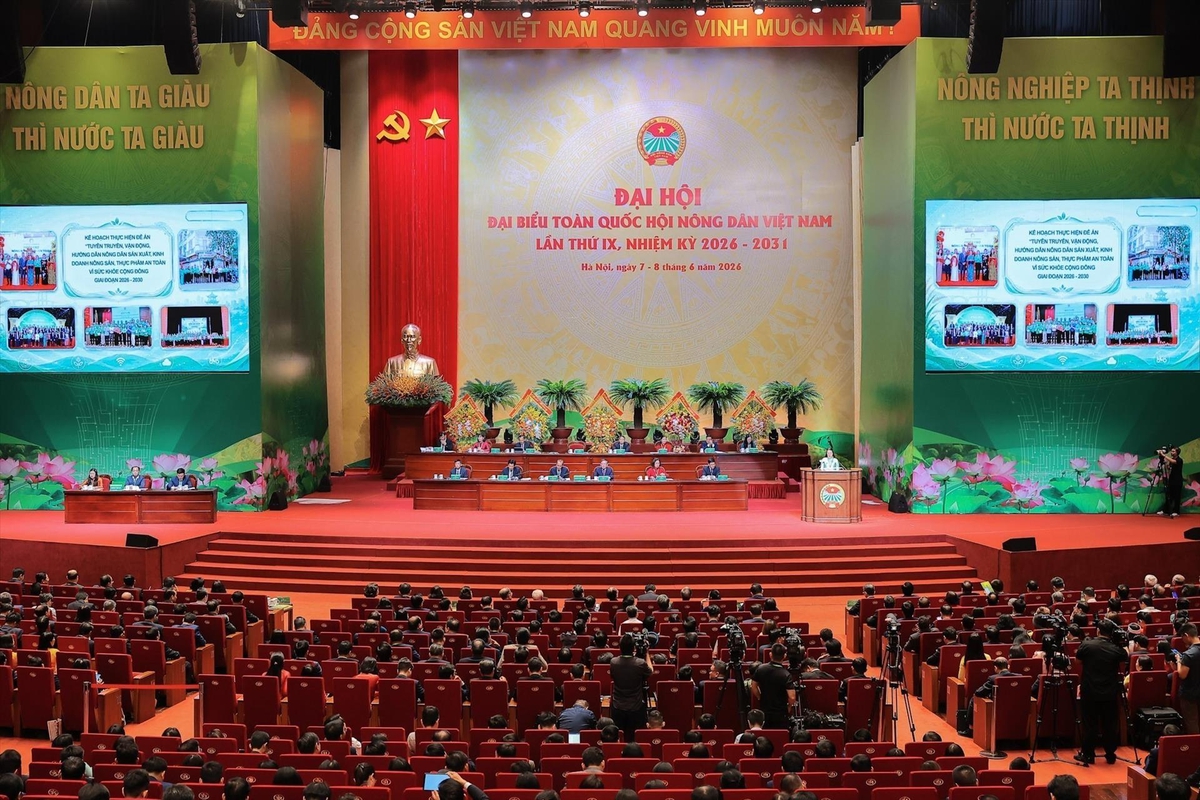 Chuyển đổi số, chuyển đổi xanh: Động lực để xây dựng thế hệ nông dân mới- Ảnh 3.
