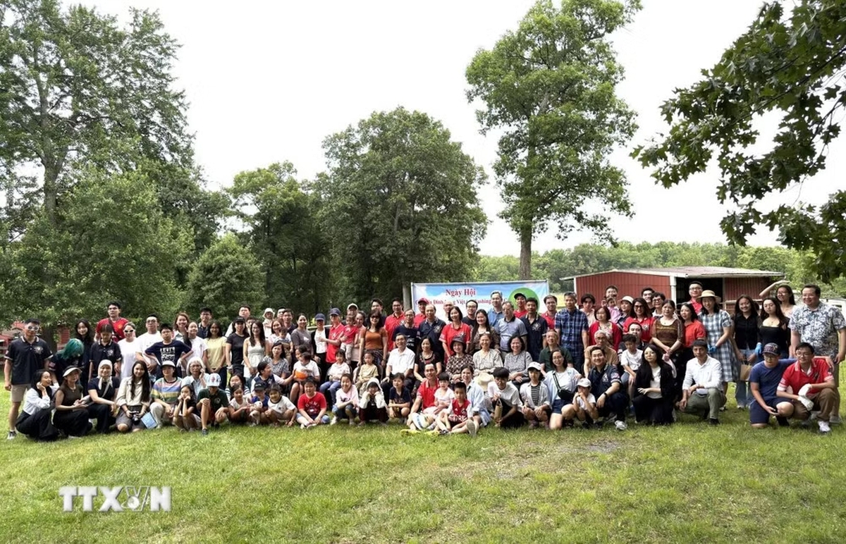 Vietnamese Family Day event in US fosters community spirit- Ảnh 1.