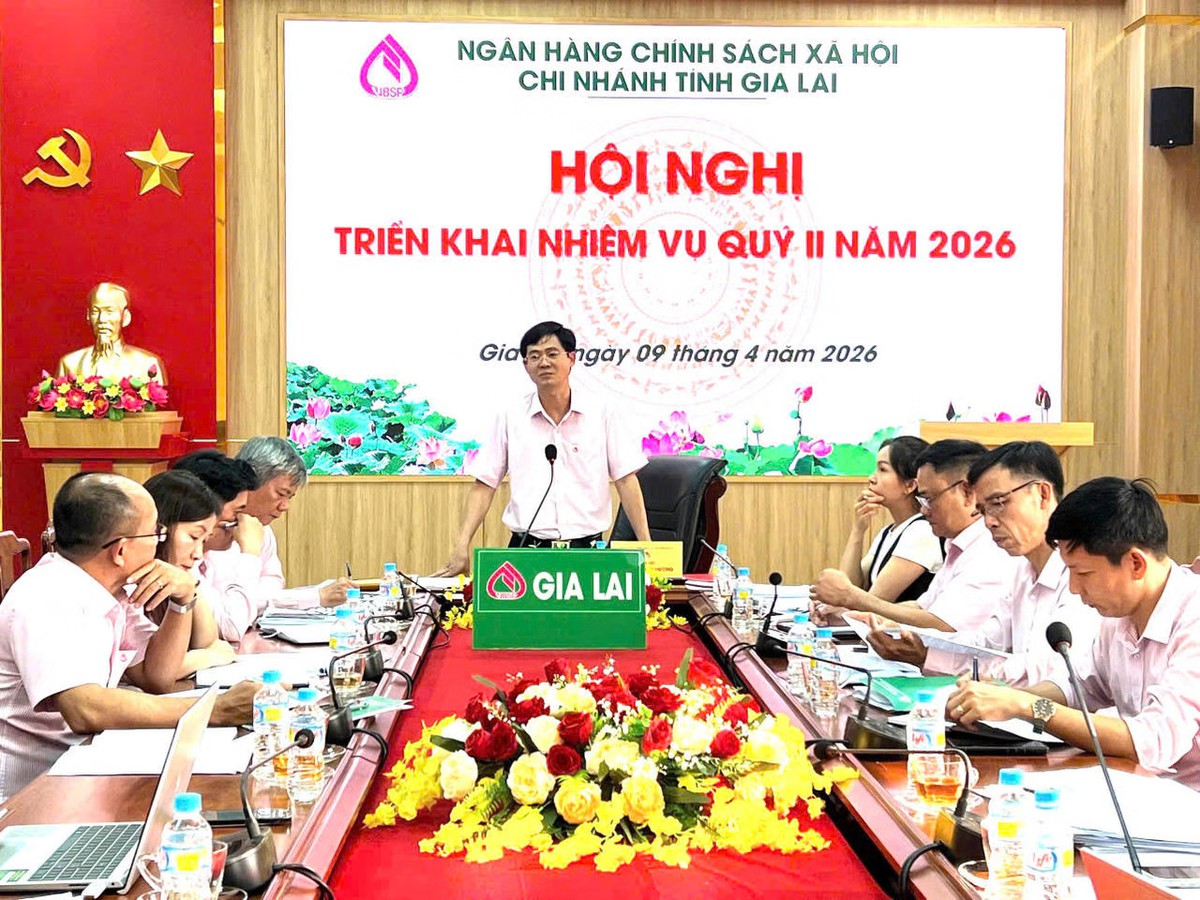 Đồng vốn chính sách vun đắp những mùa no ấm trên vùng đất Gia Lai - Ảnh 1.